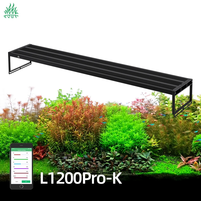 Planted Aquarium Cycling - ZXY WEEKAQUA L1200K Pro 120CM APP