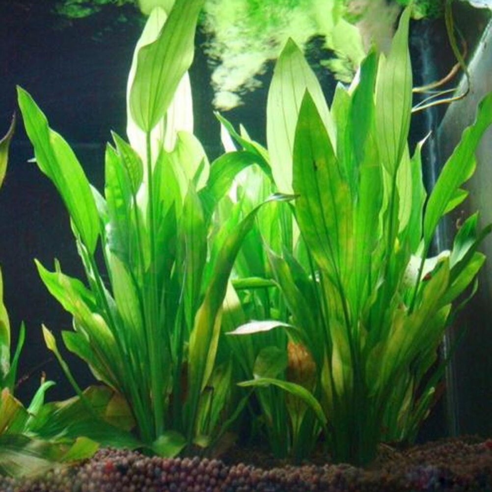 Aquarium Plant Design - 15cm Artificial Aquarium Decor Plants Water