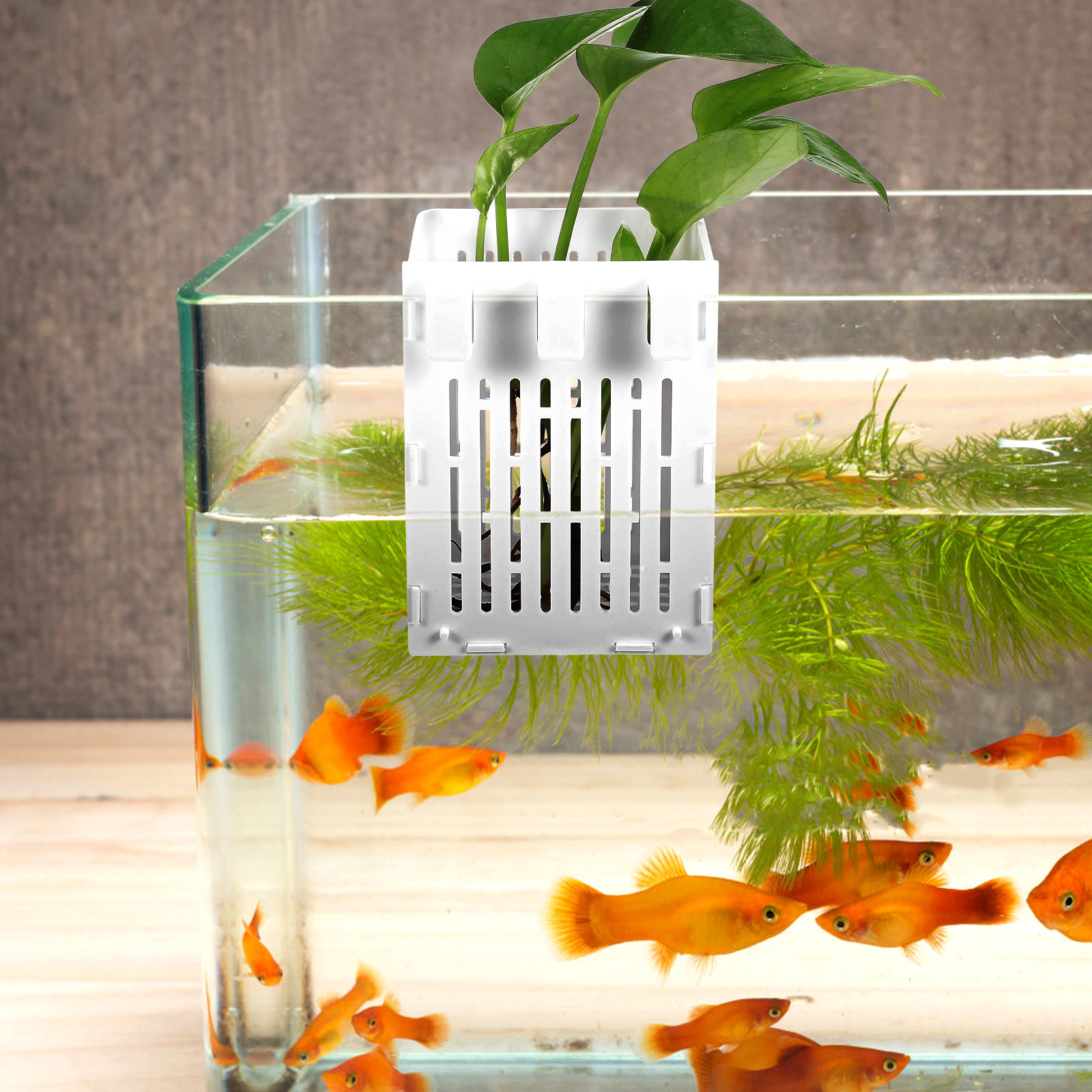 Aquarium Planted Set Up - 2Pcs Aquatic Plant Basket Hanging Aquarium