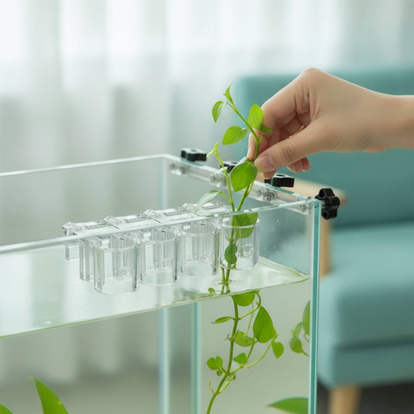 6 Pieces Aquarium Planter Clea - Aquarium Plant 评论和价格