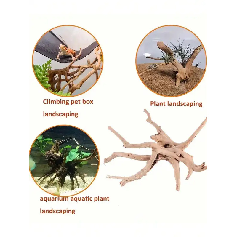 Natural Driftwood for Aquarium - Aquarium Plant Design 评论和价格