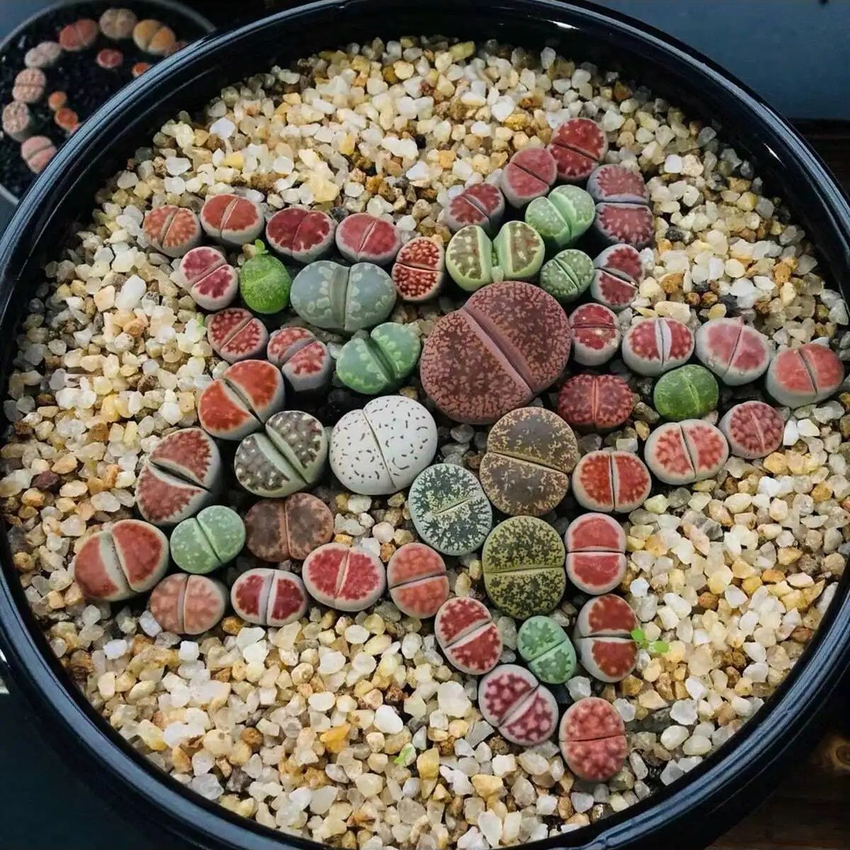 1pc-250g Natural Crystals Grav - Planted Aquarium With Gravel 评论和价格