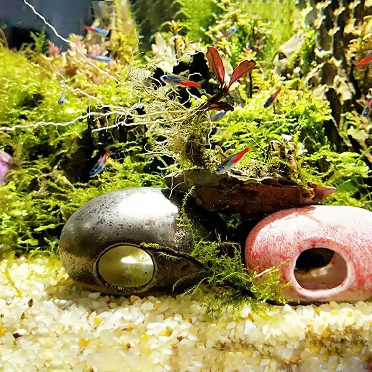 1pc-250g Natural Crystals Grav - Planted Aquarium With Gravel 评论和价格