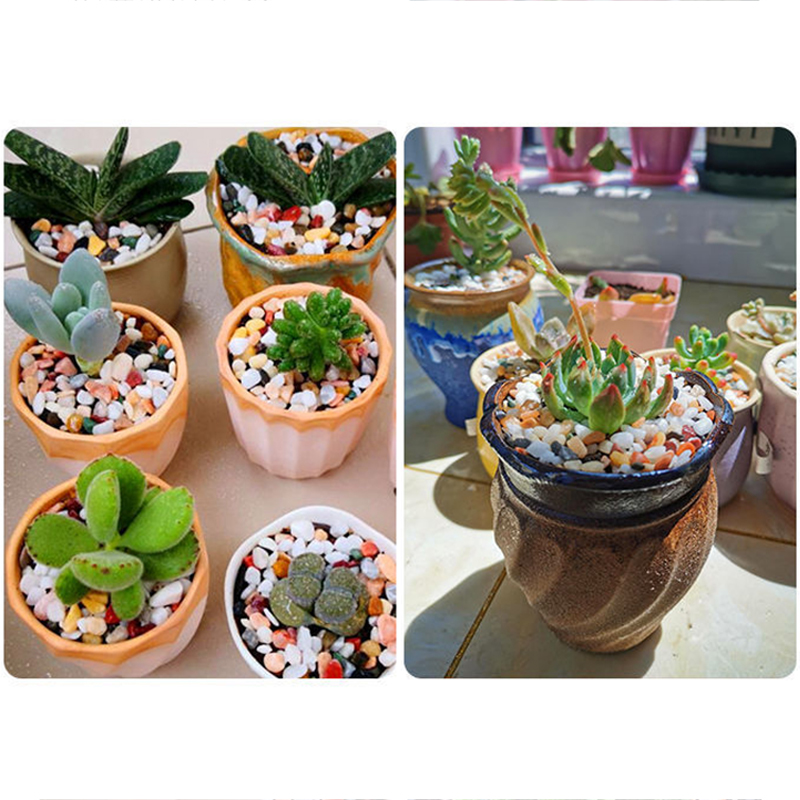 5mm Natural Aquarium Sand 200g - Planted Aquarium With Gravel 评论和价格