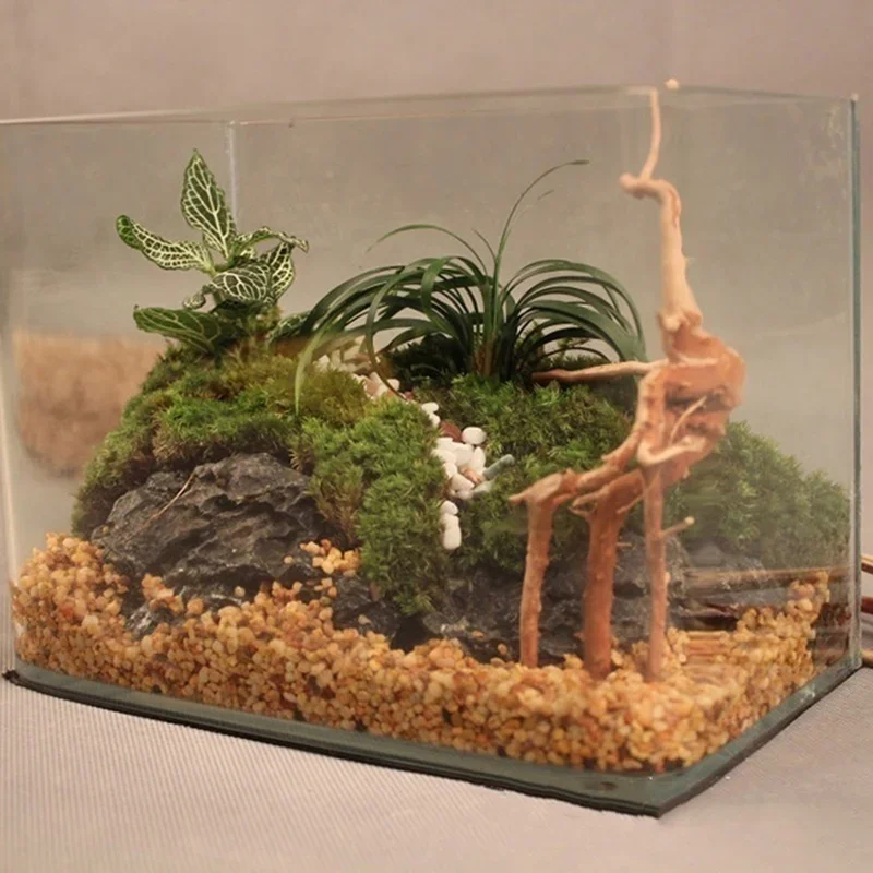 Natural Tree Trunk Driftwood A - Aquarium Plant Design 评论和价格