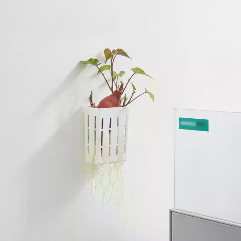 1Pcs Hydroponic Support Basket - Aquarium Plant 评论和价格