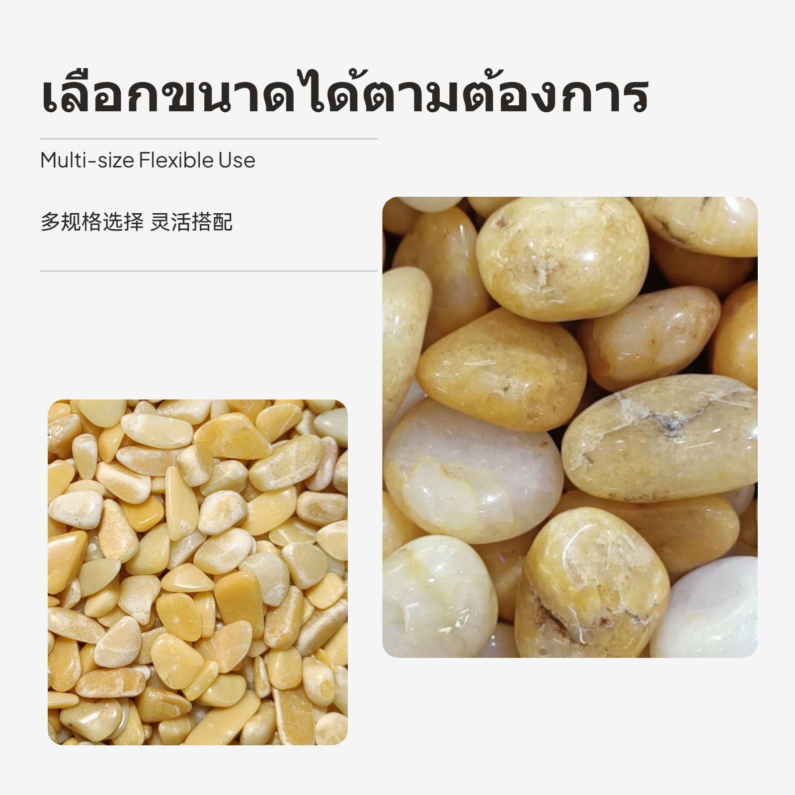 Topaz Gravel Stones Golden Gre - Planted Aquarium With Gravel 评论和价格