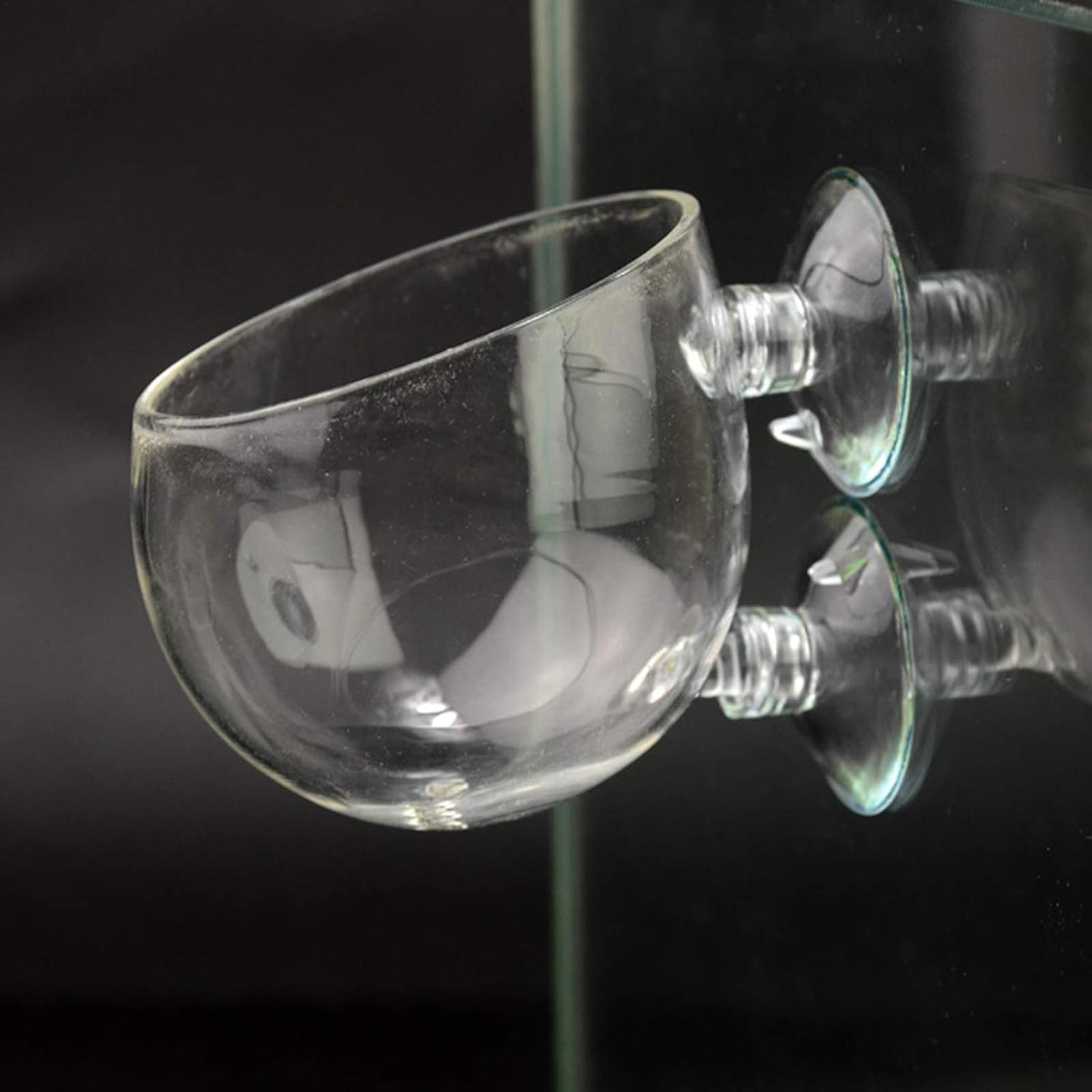 Aquarium Plant Holder Glass Aq - Aquarium Plant Design 评论和价格