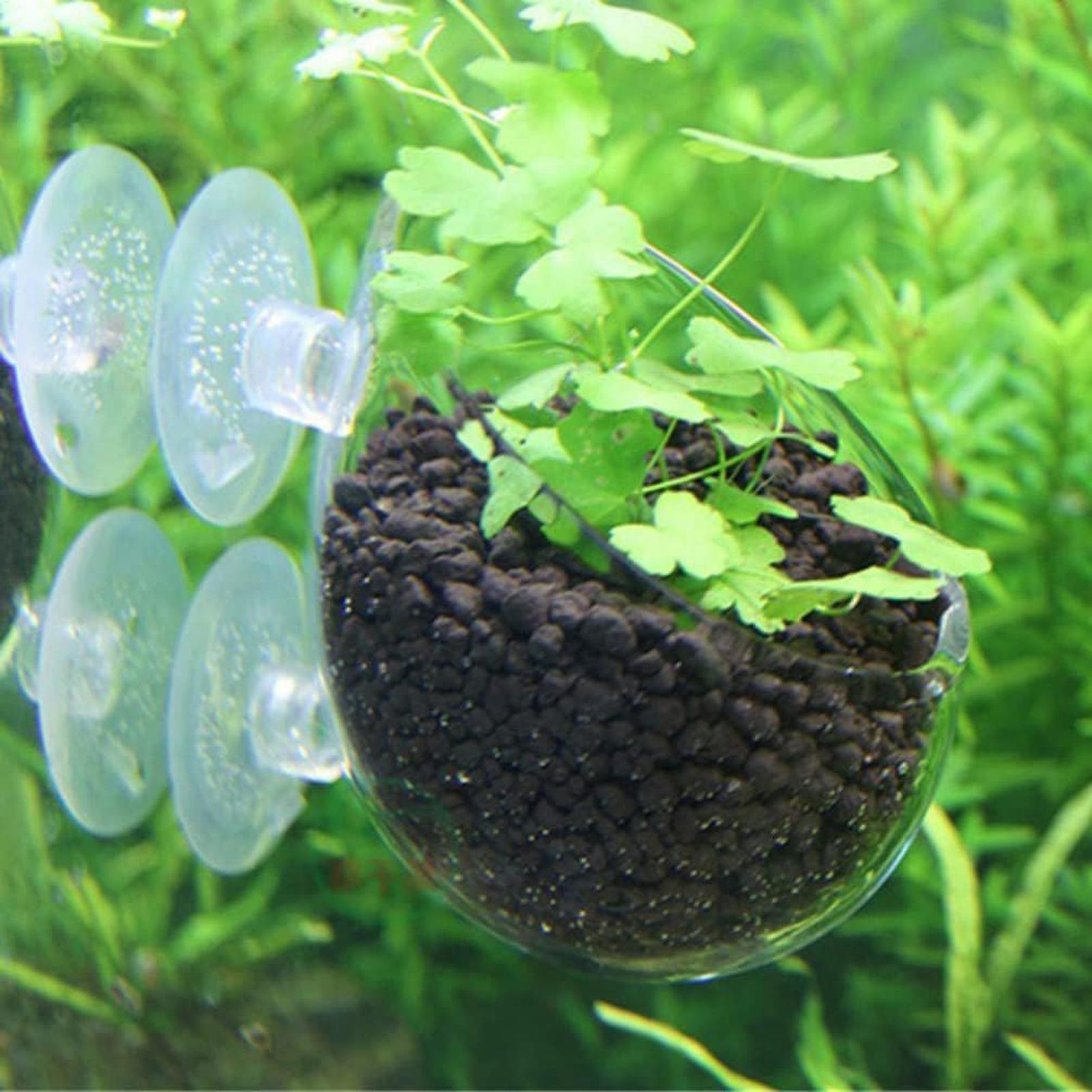 Aquarium Plant Holder Glass Aq - Aquarium Plant Design 评论和价格