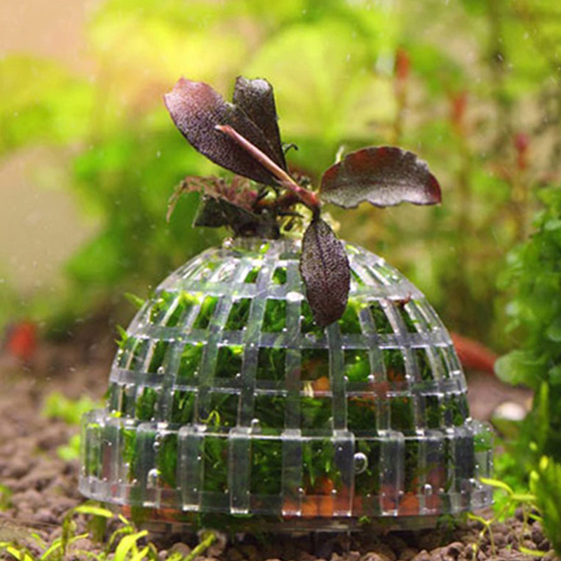 Hot Sale Aquatic Pet Supplies  - Planted Aquarium For Sale 评论和价格