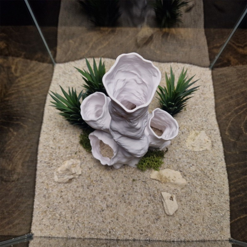 Hot Sale 3D Printed Coral Tunn - Planted Aquarium For Sale 评论和价格