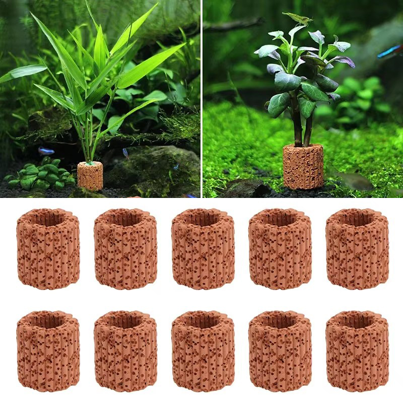 Aquatic Plant Fixed Ring for A - Aquarium Plant Design 评论和价格