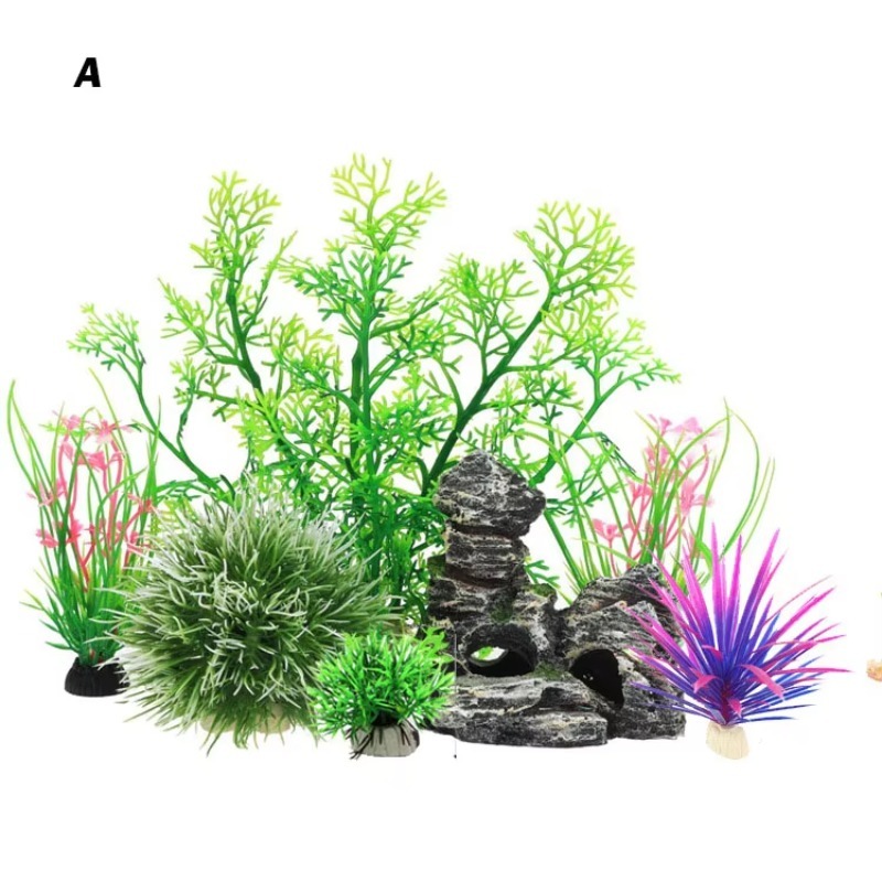 10pcs Hot Selling New Arrival  - Planted Aquarium For Sale 评论和价格