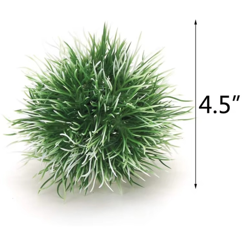 10pcs Hot Selling New Arrival  - Planted Aquarium For Sale 评论和价格