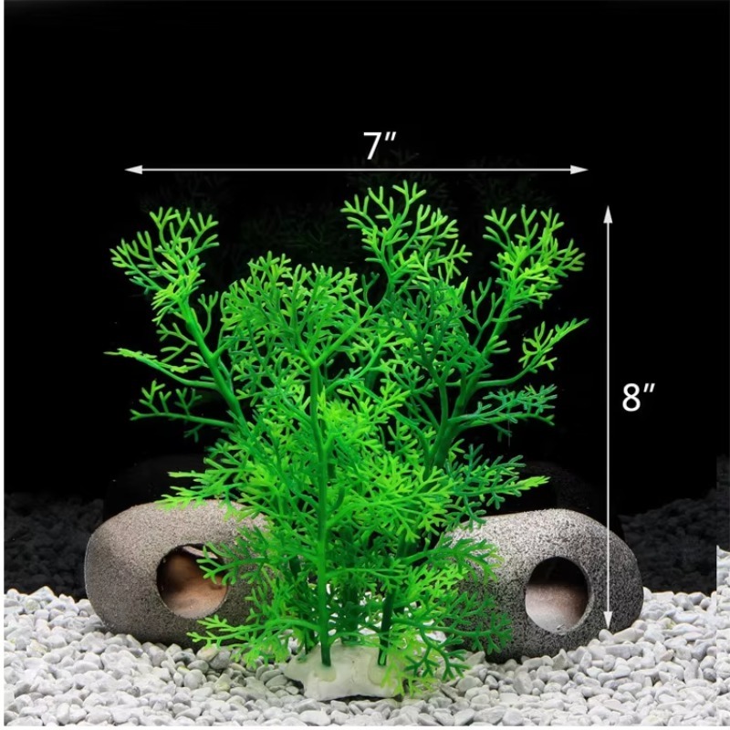 10pcs Hot Selling New Arrival  - Planted Aquarium For Sale 评论和价格