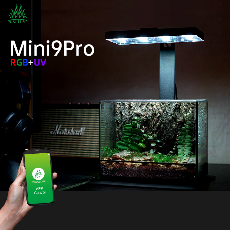 Hot Sale Mini9pro Nano Terrari - Planted Aquarium For Sale 评论和价格