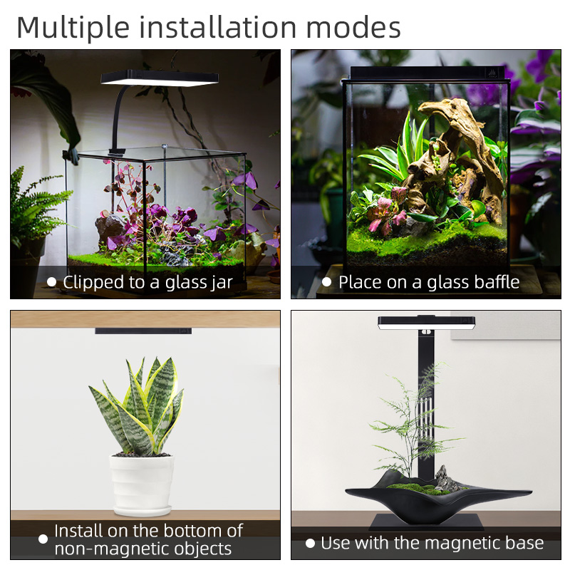 Hot Sale Mini9pro Nano Terrari - Planted Aquarium For Sale 评论和价格