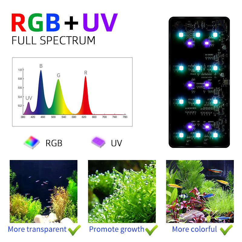Hot Sale Mini9pro Nano Terrari - Planted Aquarium For Sale 评论和价格