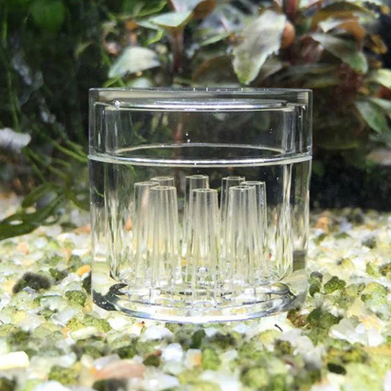 High Transparent  Aquarium Fis - Aquarium Plant Design 评论和价格