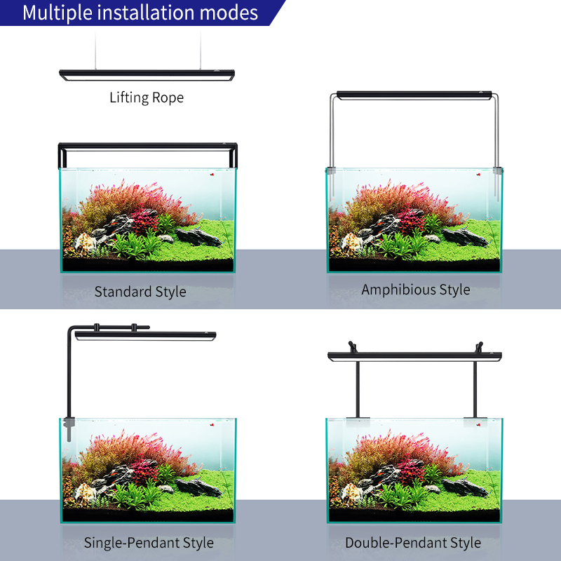 ZXY Hot Sale WEEKAQUA V400 WRG - Planted Aquarium For Sale 评论和价格