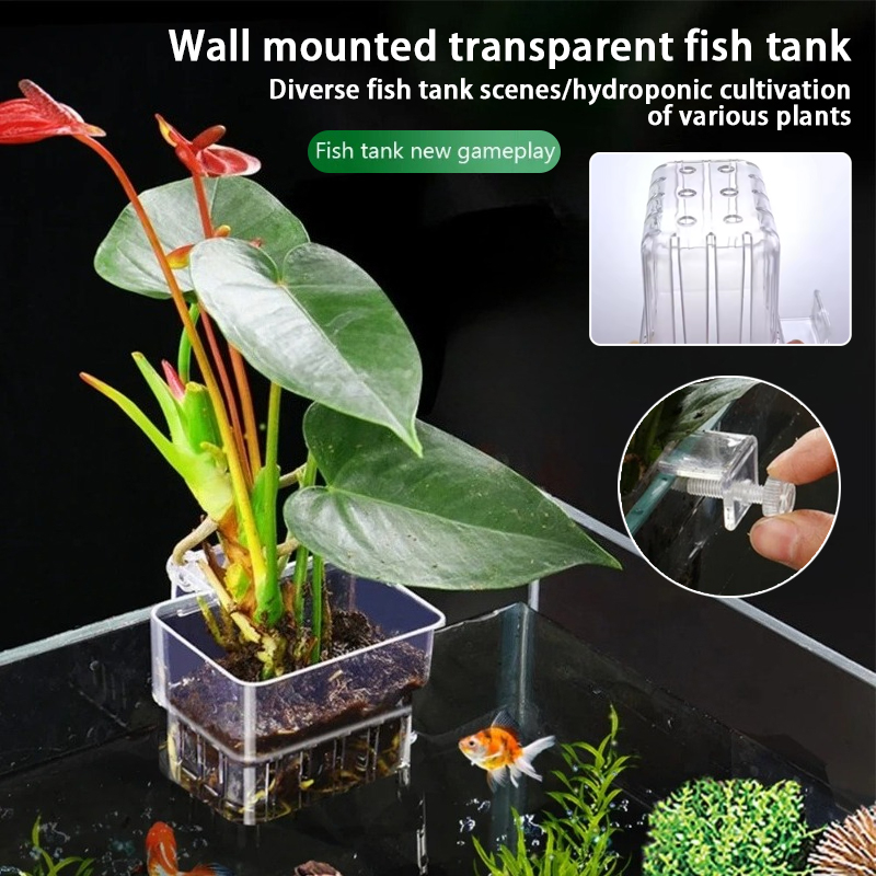 Aquarium Hanging Planter Cups  - Aquarium Planted Fish Tank 评论和价格