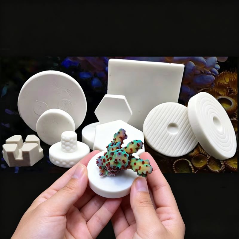SPS Ceramic Coral Frag Plugs B - Aquarium Plant Design 评论和价格
