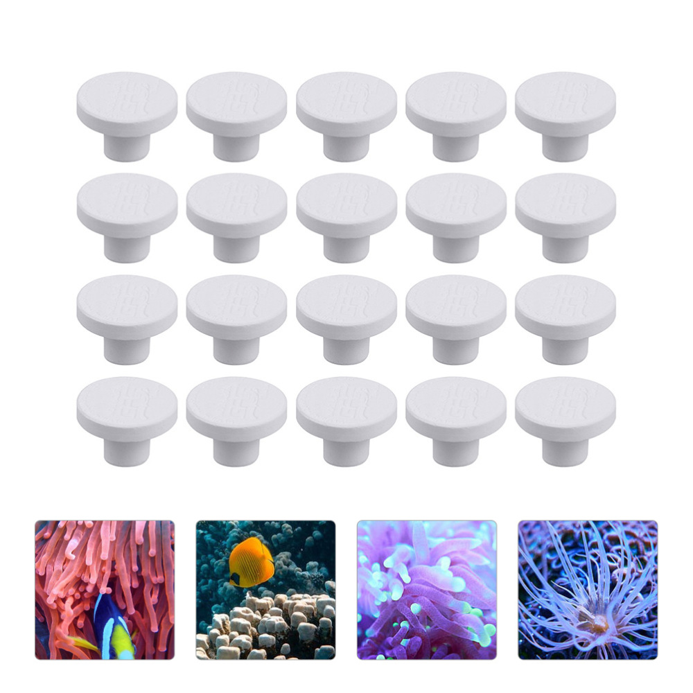 SPS Ceramic Coral Frag Plugs B - Aquarium Plant Design 评论和价格