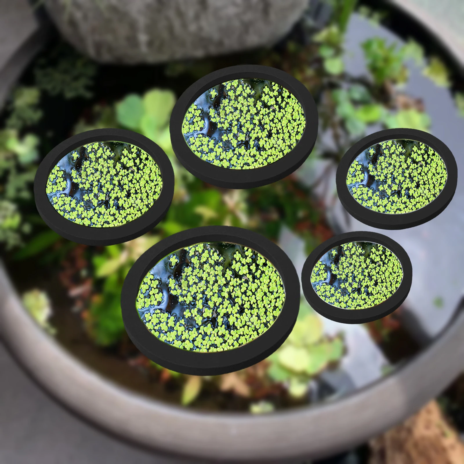 5Pcs EVA Fish Feeding Ring Aqu - Aquarium Planted Fish Tank 评论和价格