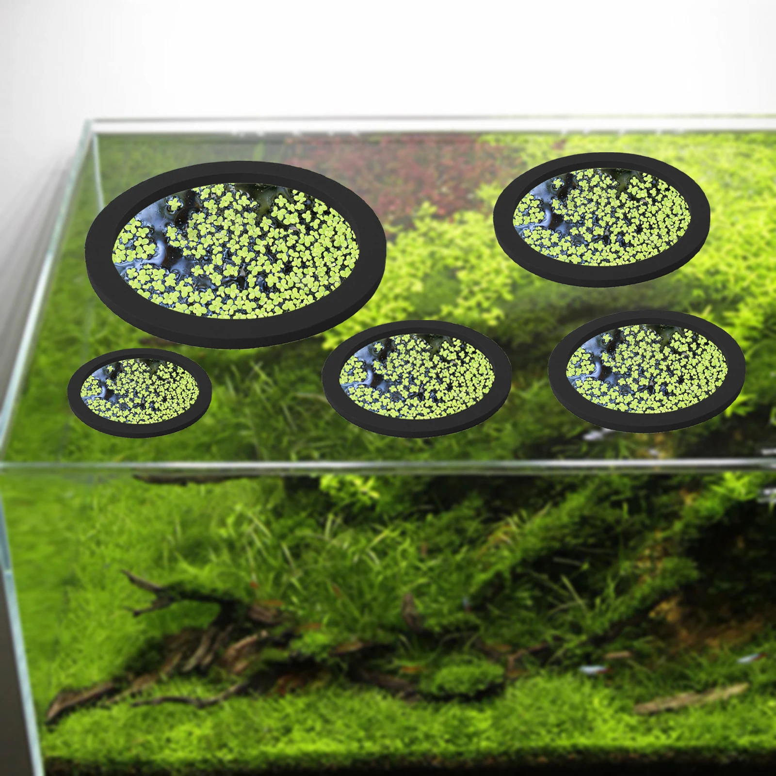5Pcs EVA Fish Feeding Ring Aqu - Aquarium Planted Fish Tank 评论和价格