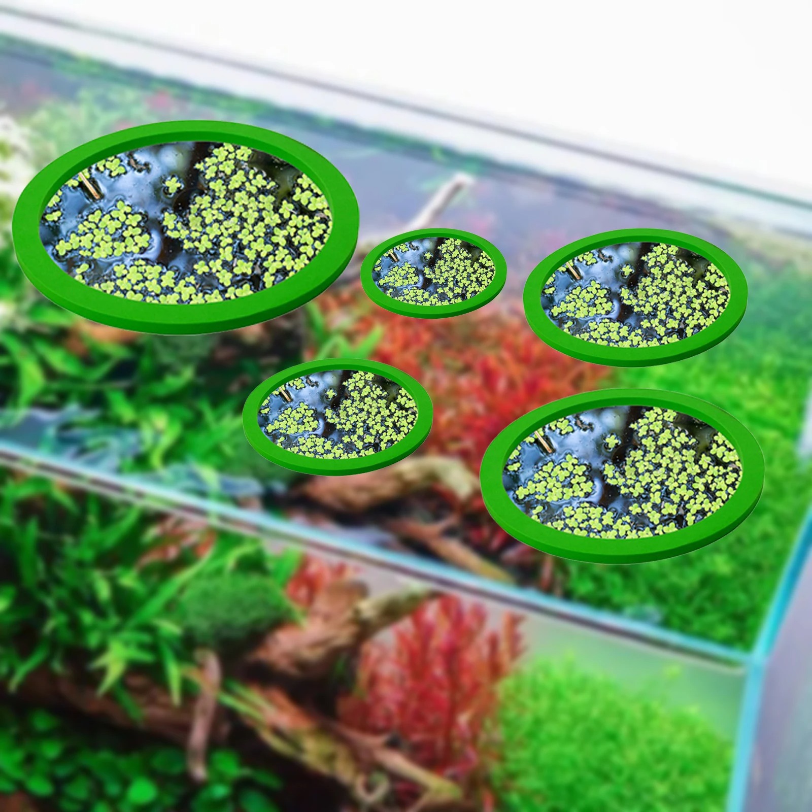 5Pcs EVA Fish Feeding Ring Aqu - Aquarium Planted Fish Tank 评论和价格