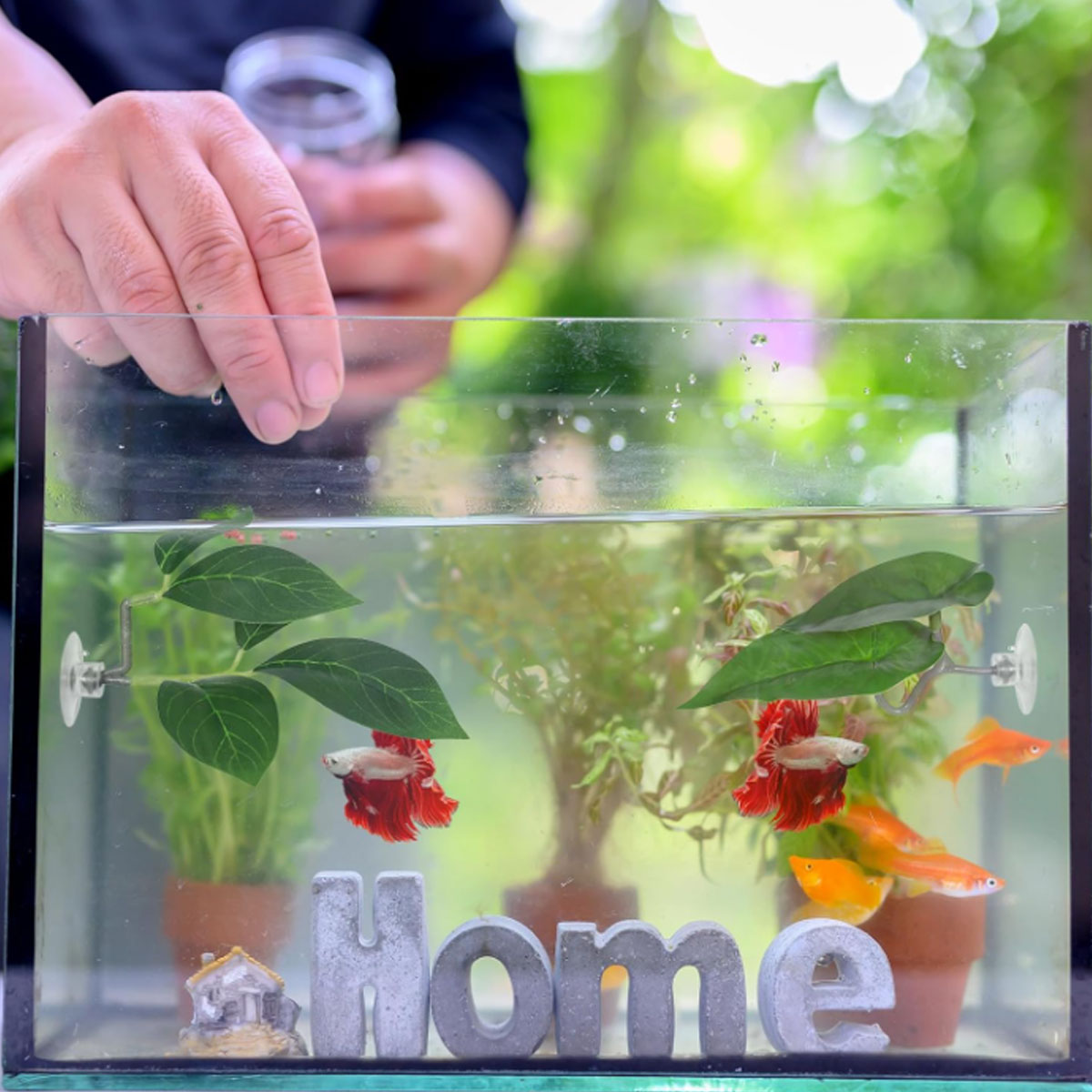 1 PC Betta Fish Hammock Soft A - Aquarium Plant Design 评论和价格