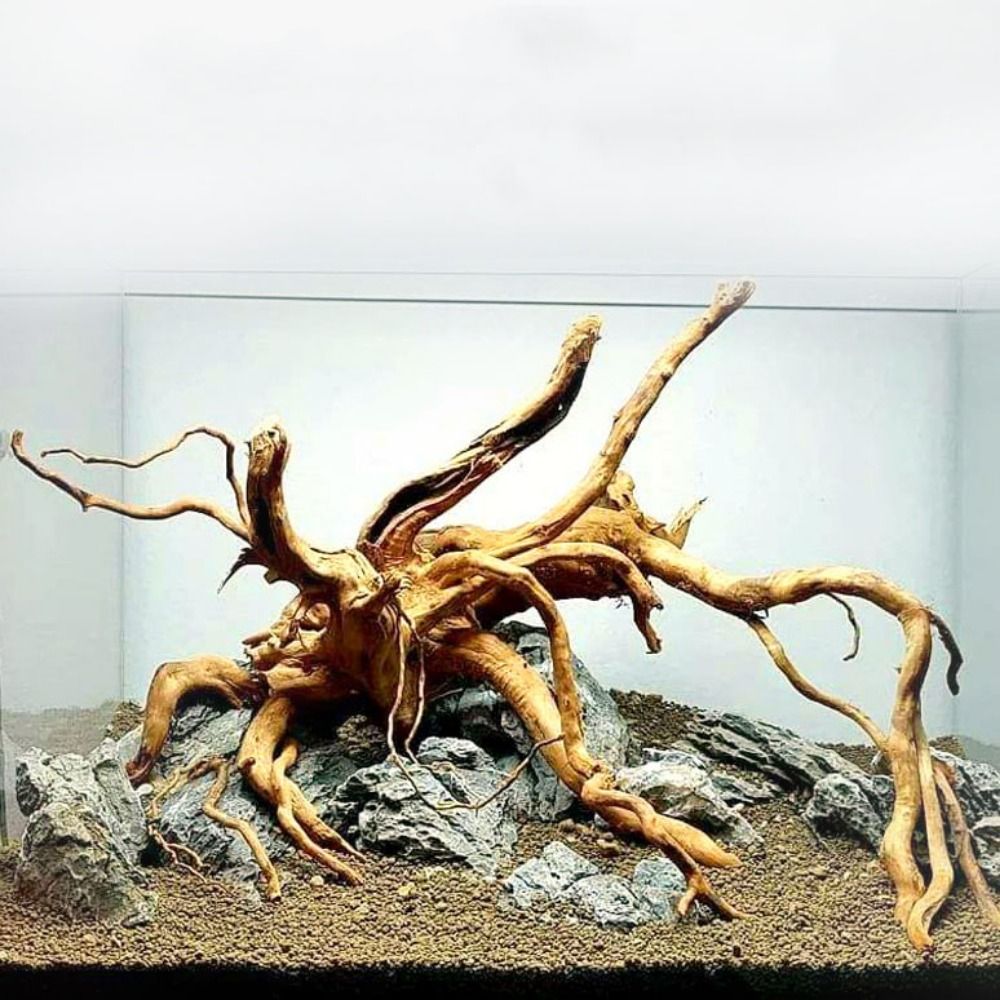 20-25CM Large Aquarium Driftwo - Aquarium Plant Design 评论和价格