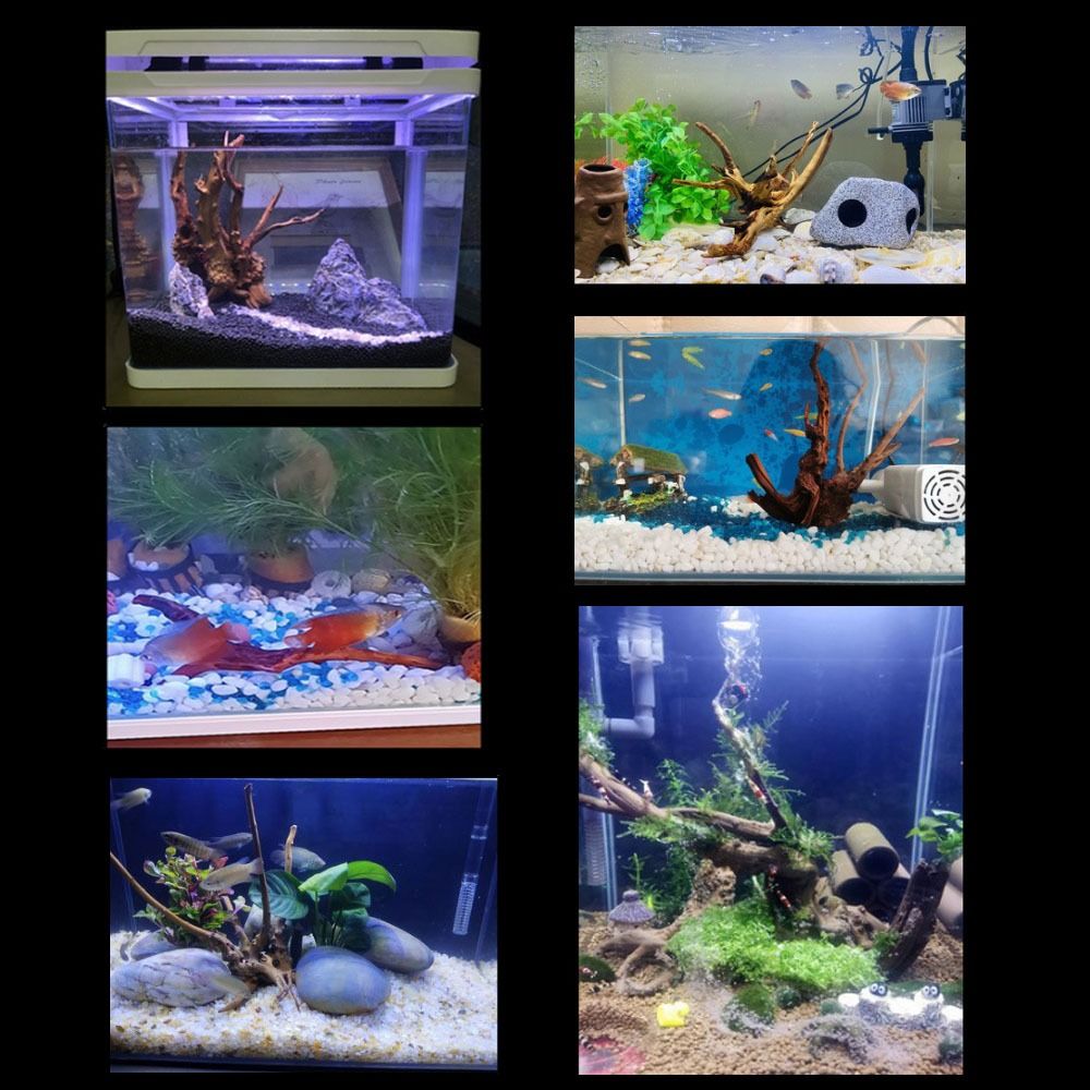 20-25CM Large Aquarium Driftwo - Aquarium Plant Design 评论和价格