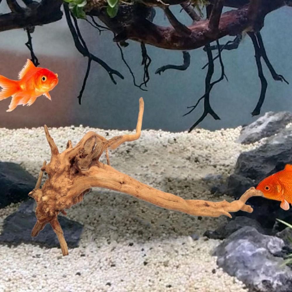 20-25CM Large Aquarium Driftwo - Aquarium Plant Design 评论和价格