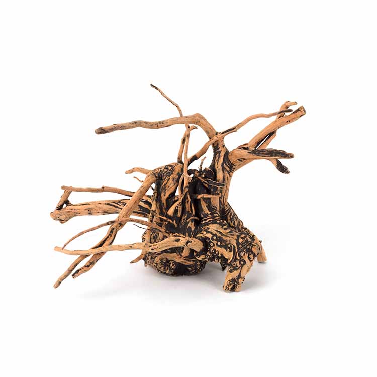 Wholesale Hot Sale Natural Dec - Planted Aquarium For Sale 评论和价格