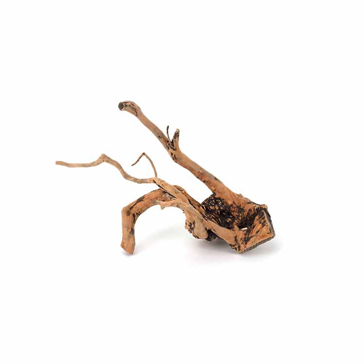 Wholesale Hot Sale Natural Dec - Planted Aquarium For Sale 评论和价格