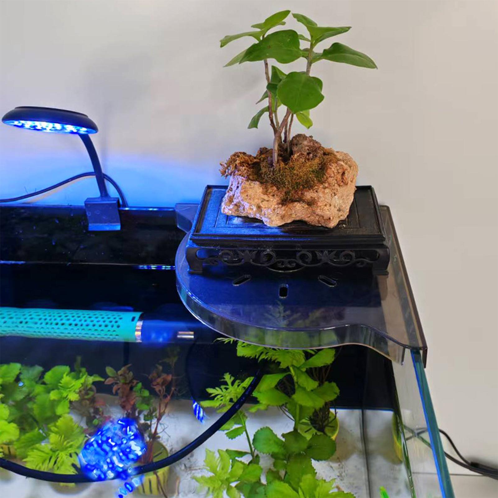 Triangle Fish Tank Corner Stor - Aquarium Plant Design 评论和价格