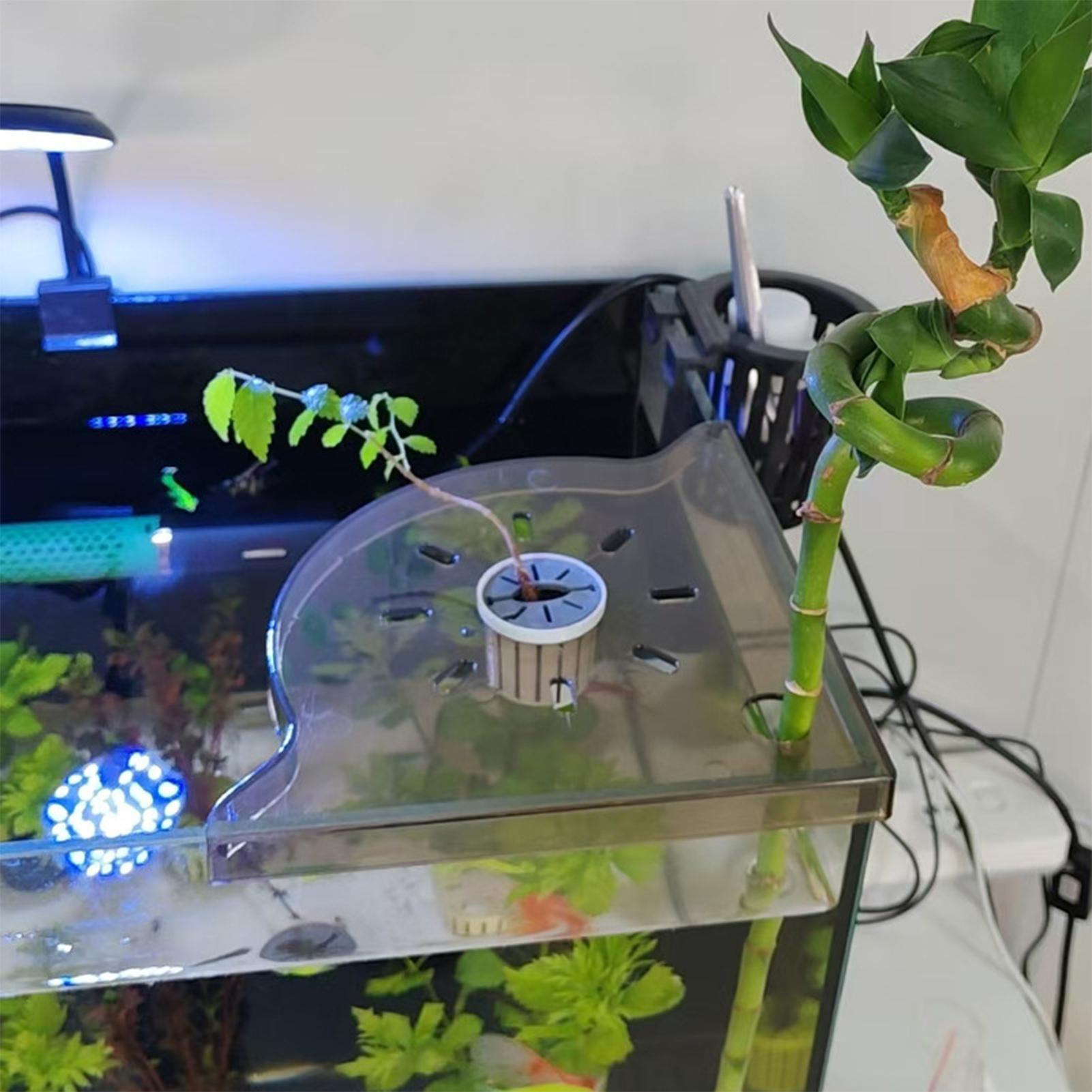 Triangle Fish Tank Corner Stor - Aquarium Plant Design 评论和价格