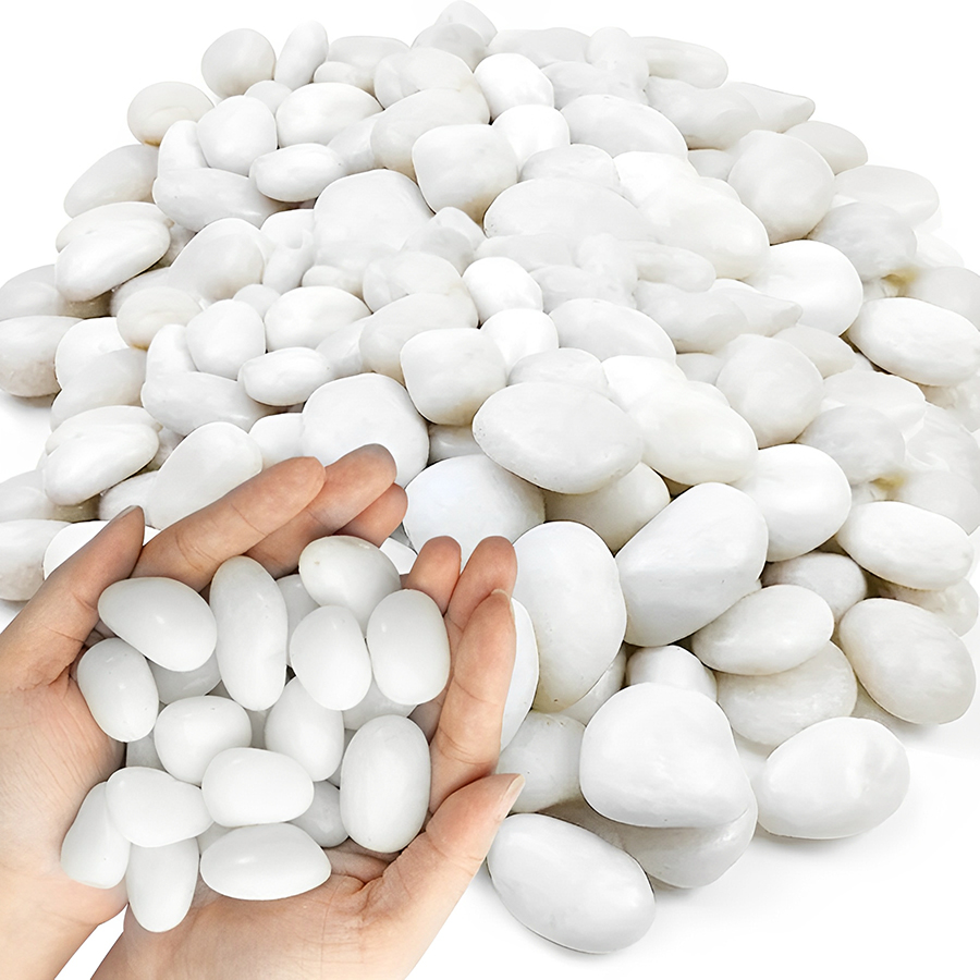 1/2Lb White Polished Aquarium  - Planted Aquarium With Gravel 评论和价格