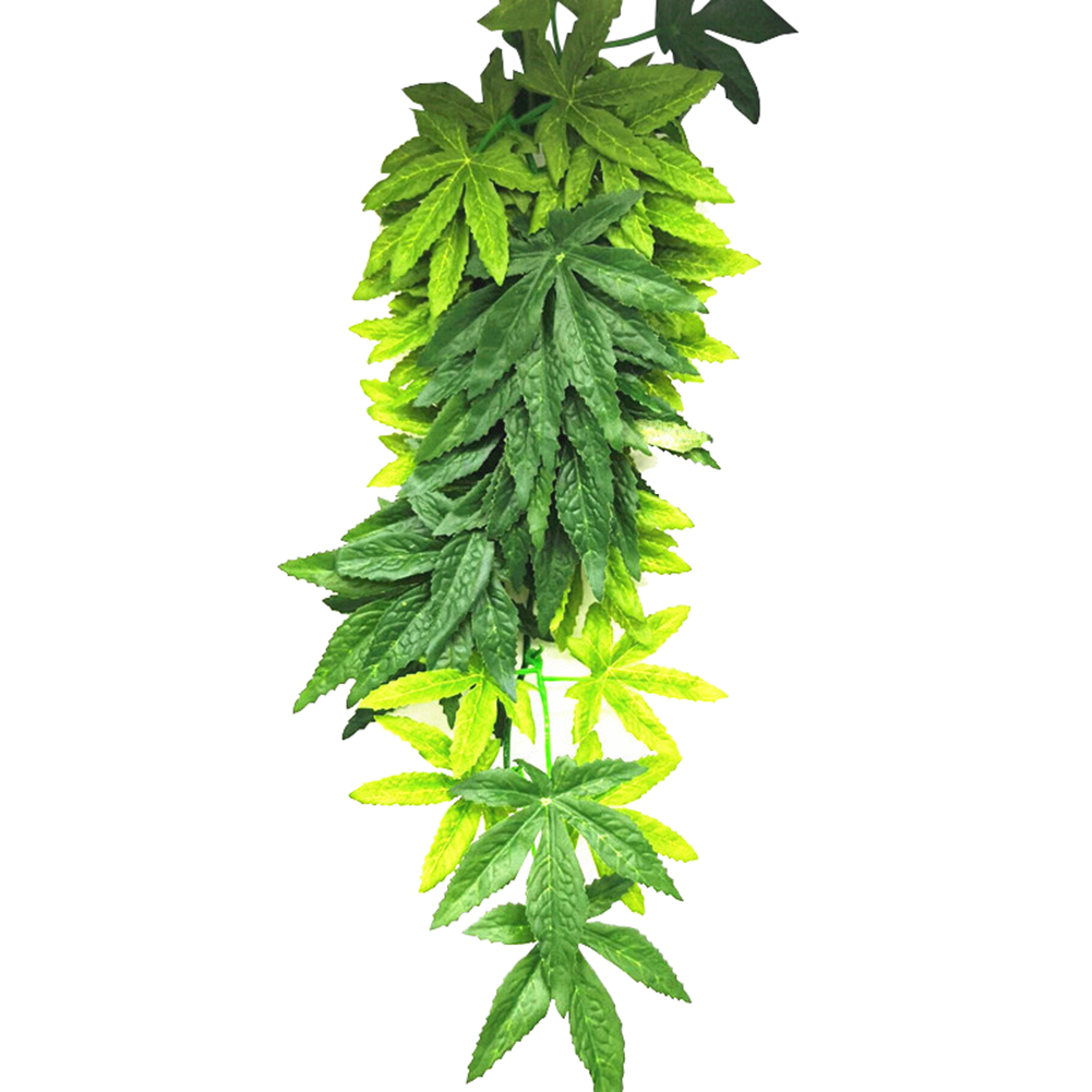 HOT SALE 30/40/50CM Aquarium R - Planted Aquarium For Sale 评论和价格