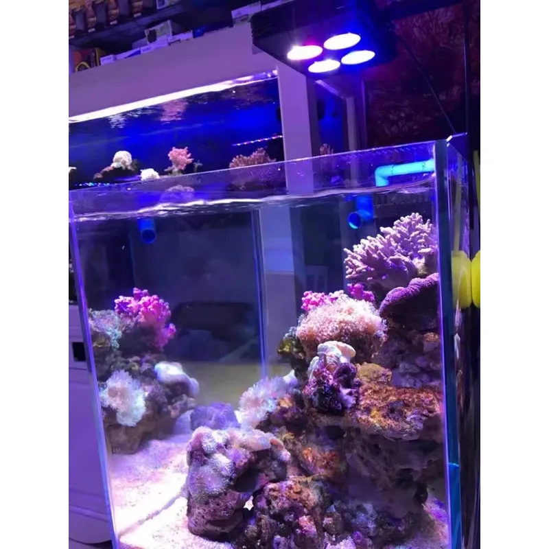 Gako A052 52w Hot Sale Aquariu - Planted Aquarium For Sale 评论和价格