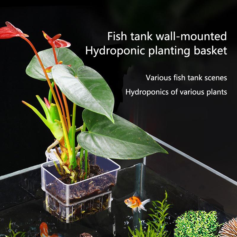 Aquarium Hydroponic Planting C - Aquarium Planted Set Up 评论和价格